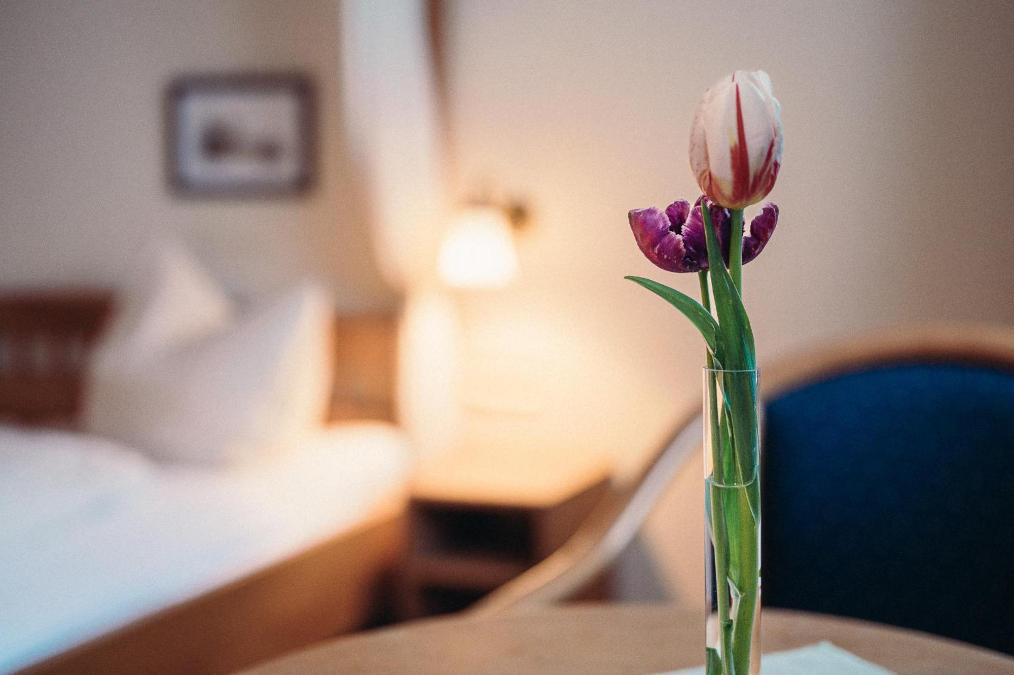 Hotel Hofgut Himmelreich Kirchzarten Zewnętrze zdjęcie